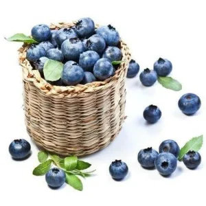 Blueberry Wild E-Liquid