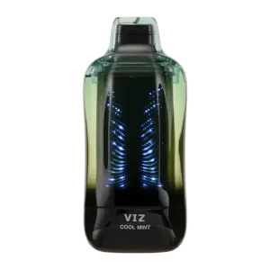 Cool Mint Lost Mary Viz 55K Puffs Vape | 5% Nic
