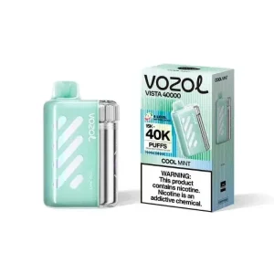 Cool Mint - VOZOL Vista 40000 Disposable