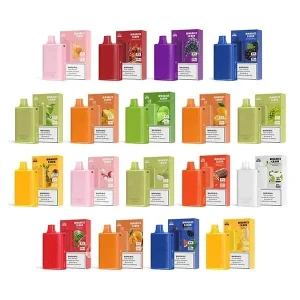 HorizonTech Binaries Cabin 10K Disposable