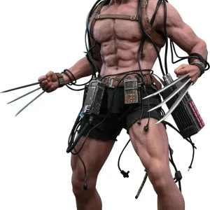 Hot Toys Marvel Weapon X Masterpiece Articulated 1/6 Scale Figure