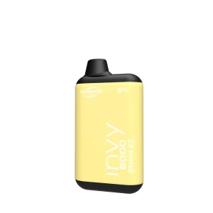 Innevape Invy 6000 Disposable Vape (3mg, 6000 Puffs)