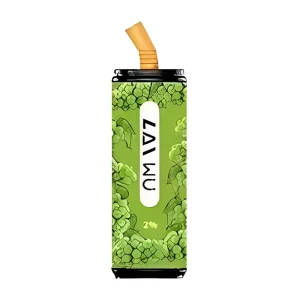 LAI WU Coke Tin Disposable Vape 5000 Puffs – Green Grapes
