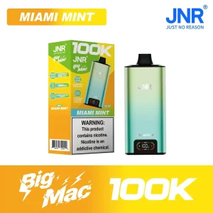 Miami Mint - JNR Big Mac 100k Disposable Vape