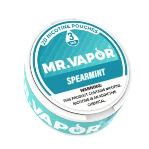 Mr. Vapor Nicotine Pouches - Spearmint