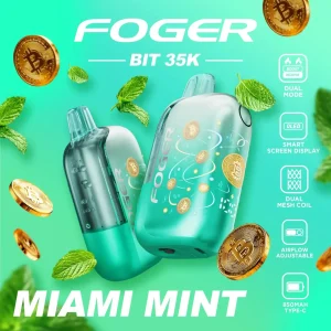 Foger Bit 35K Disposable Vape (5%, 35000 Puffs)
