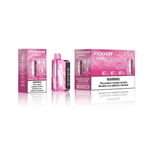 (10-PACK) Foger Switch Pro 30000 Disposable Vape