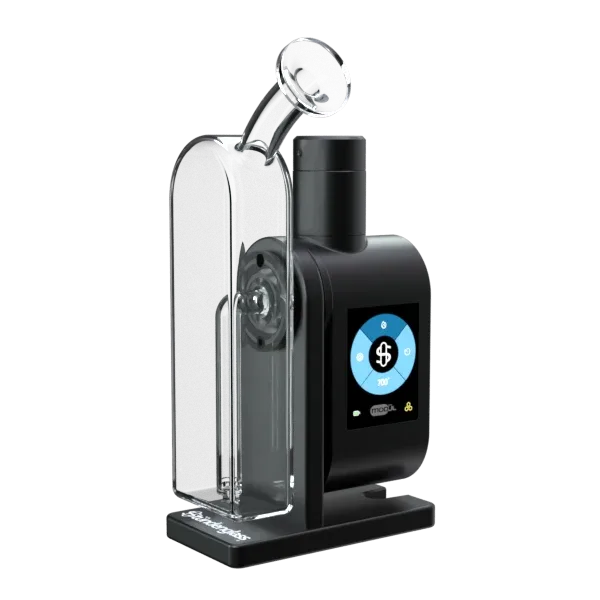 Modül + Dok Concentrate Bundle - Image 2