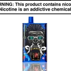 PUNKAPES 6K DISPOSABLE VAPE – 6000 PUFFS