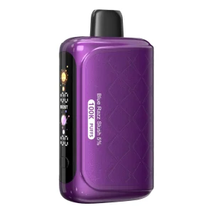 Binaries Disposable | 100K Puffs