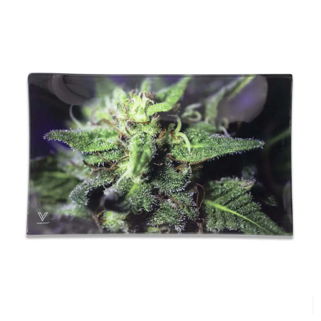 Blue Dream Glass Tray - Image 2