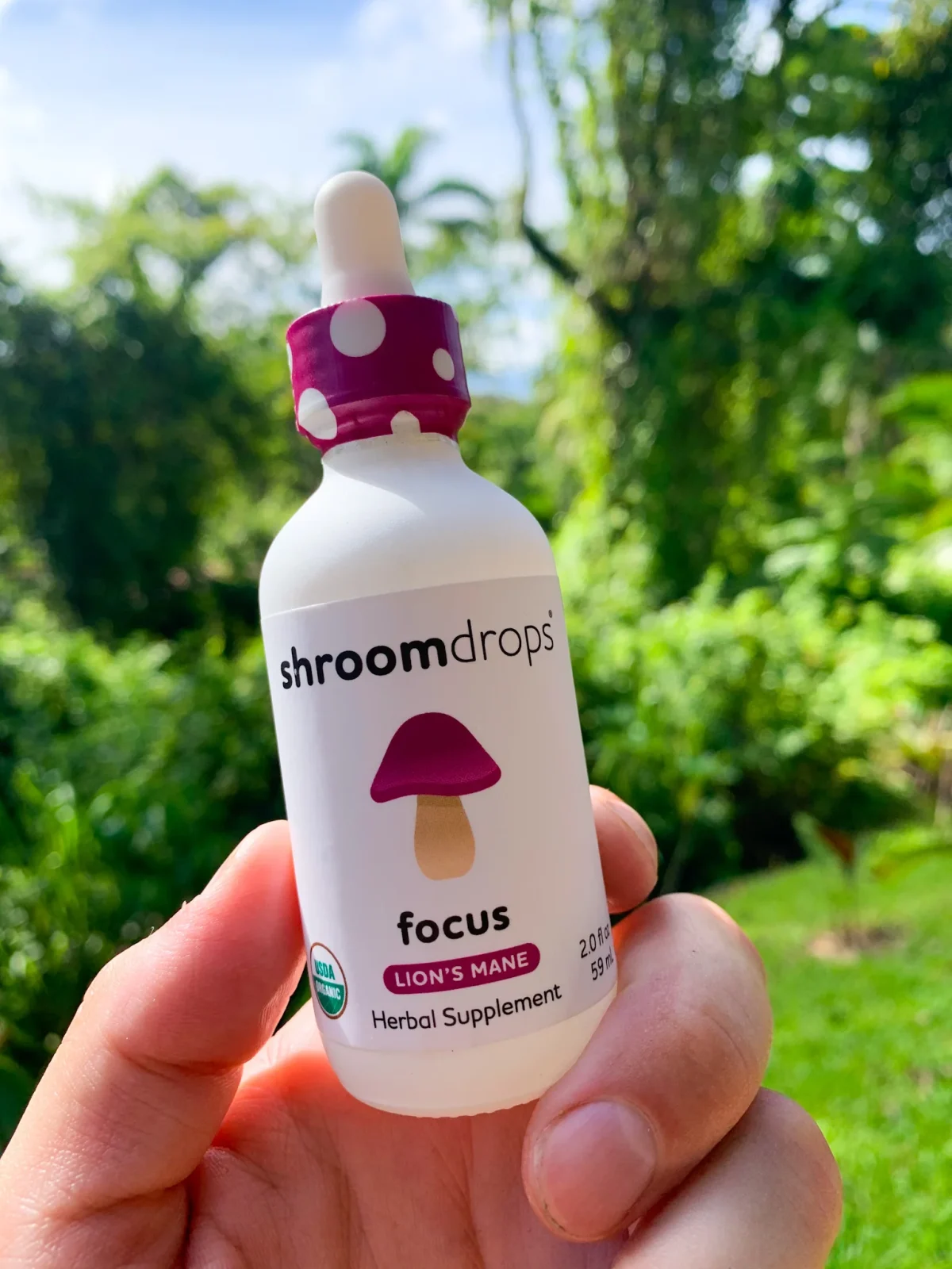 Organic Lion's Mane Tincture (Focus) Shroom drops - Image 2