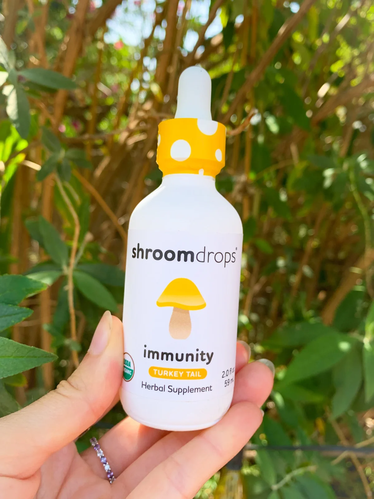 Organic Turkey Tail Tincture (Immunity) - Image 2