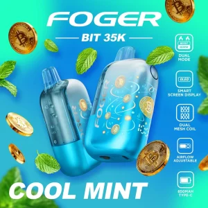 Foger Bit 35K Disposable Vape (5%, 35000 Puffs)