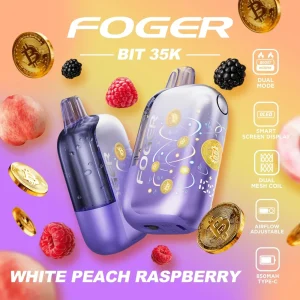 Foger Bit 35K Disposable Vape (5%, 35000 Puffs)