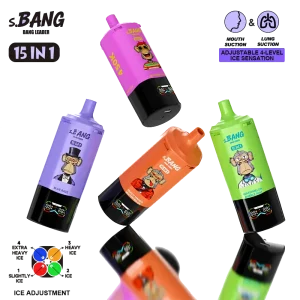 BANG LEADER 450000 Puffs 15 in 1 Taste 450K Disposable Vapes MTL DTL Dual Mode Wholesale Bulk Buy