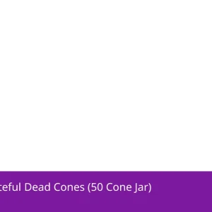 Blazy Susan Grateful Dead Cones (50 Cone Jar)