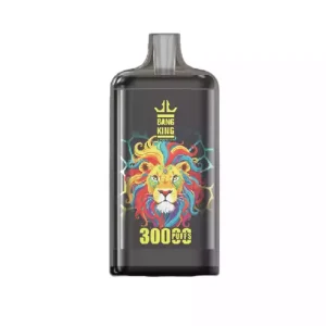 BANG KING 30000 Puffs DSK057 Bulk Buy 30K Rechargeable Disposable Vapes Wholesale