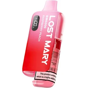 Raspberry peach Lost Mary BM6000 pod vape kit 12ml