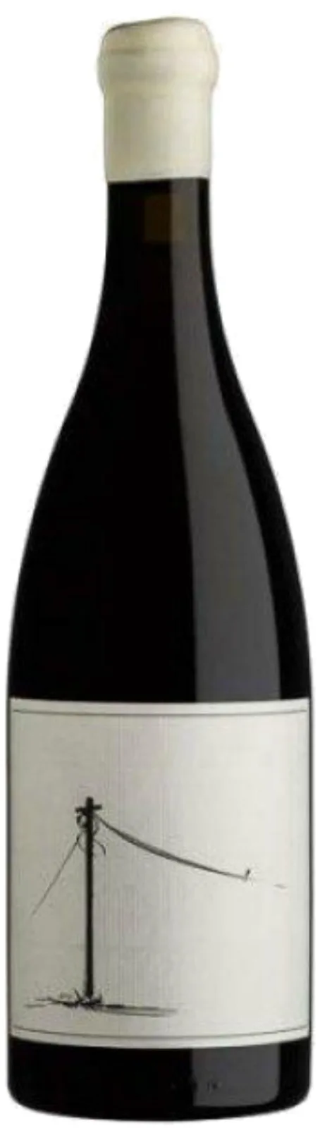 Savage Follow the Line Cinsault 2023