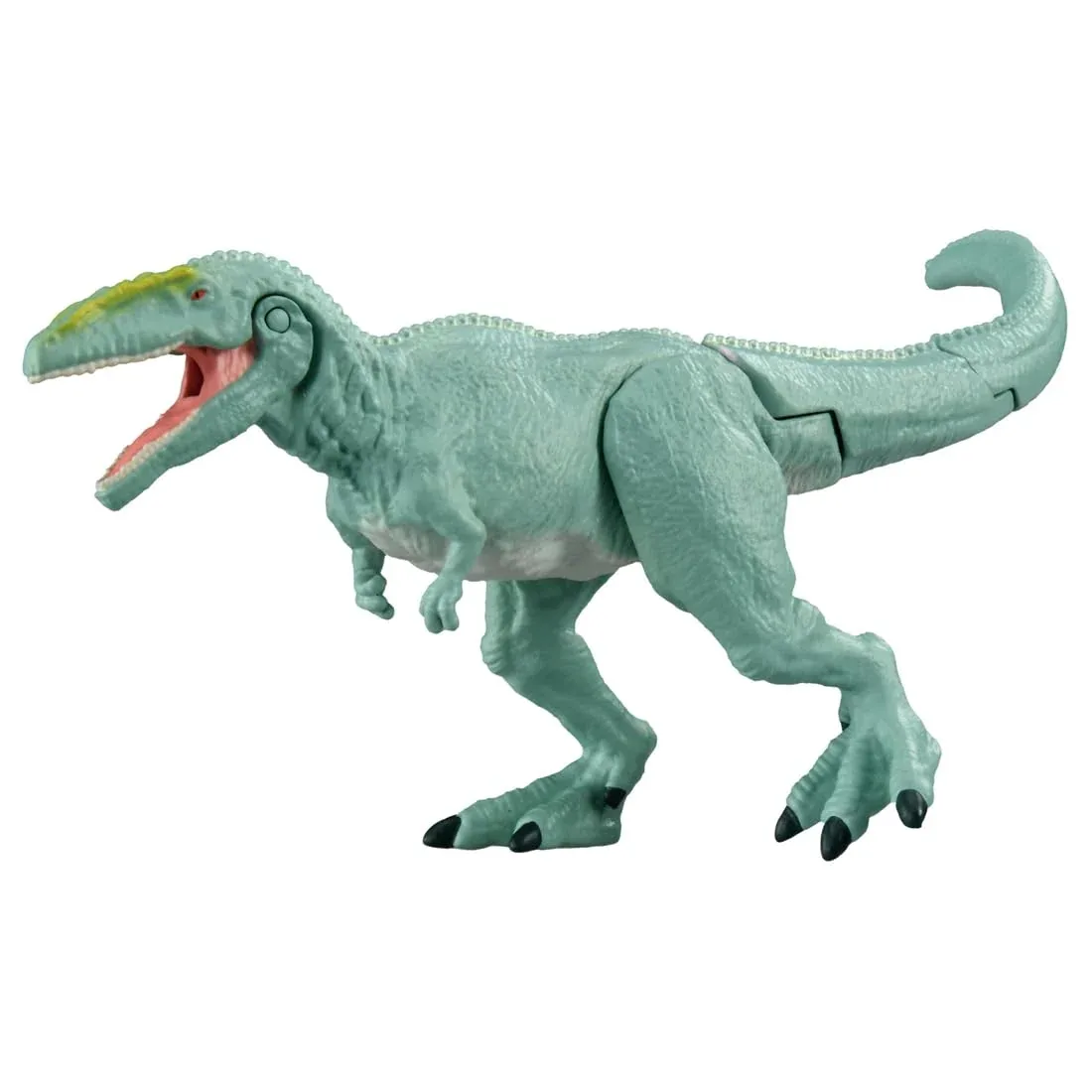 Takara Tomy Ania AL-12 Giganotosaurus Dinosaur Toy for Kids Ages 3+