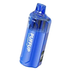 Vapgo PUFFUP vilso NIX 25K Disposable Vape (5%, 25000 Puffs) - Blue Razz Ice
